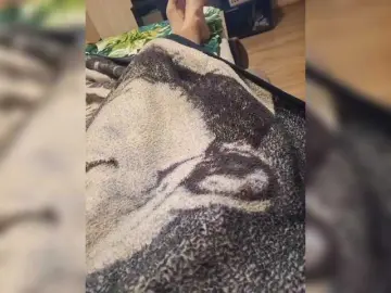 Bongacams Sex Chat of sexikpara777