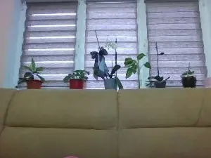 Cam4 Watch Live Sex Cams of have_funnn