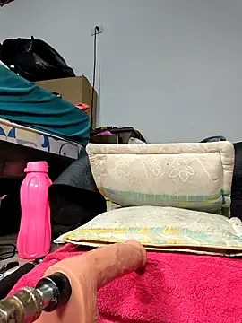 Stripchat Adult Webcams of shelby_kutter